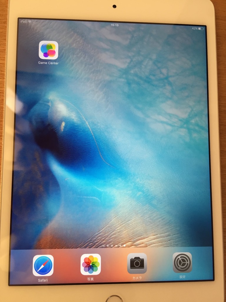 iPad mini4 OverLay-10
