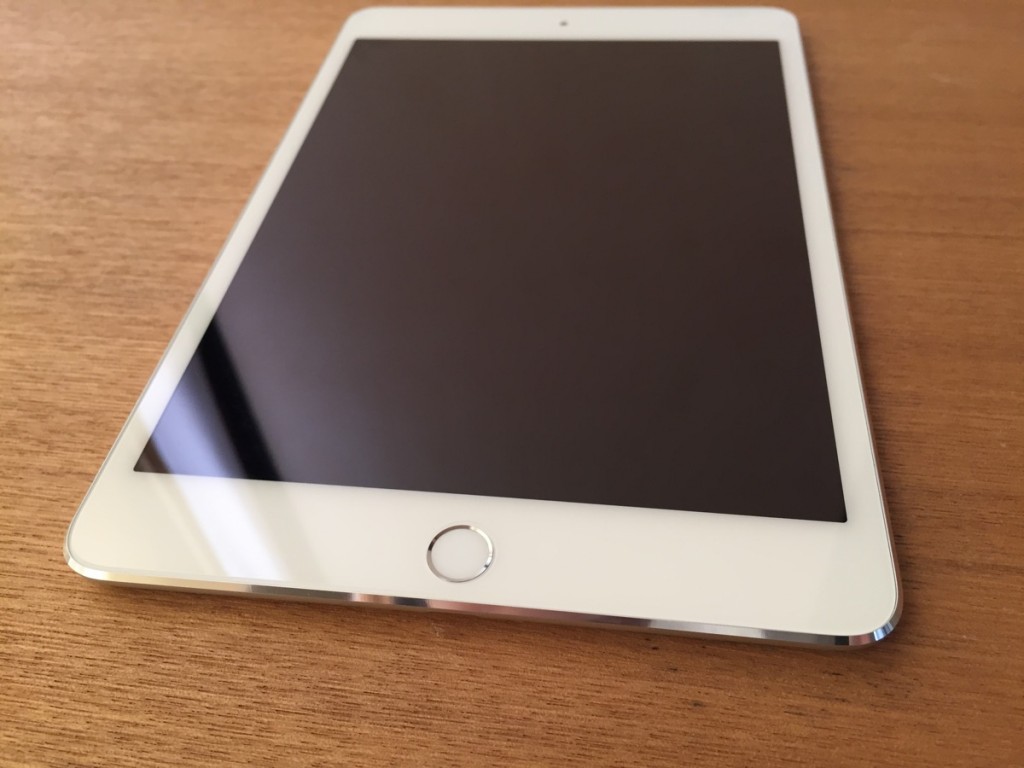 iPad mini4 OverLay-4